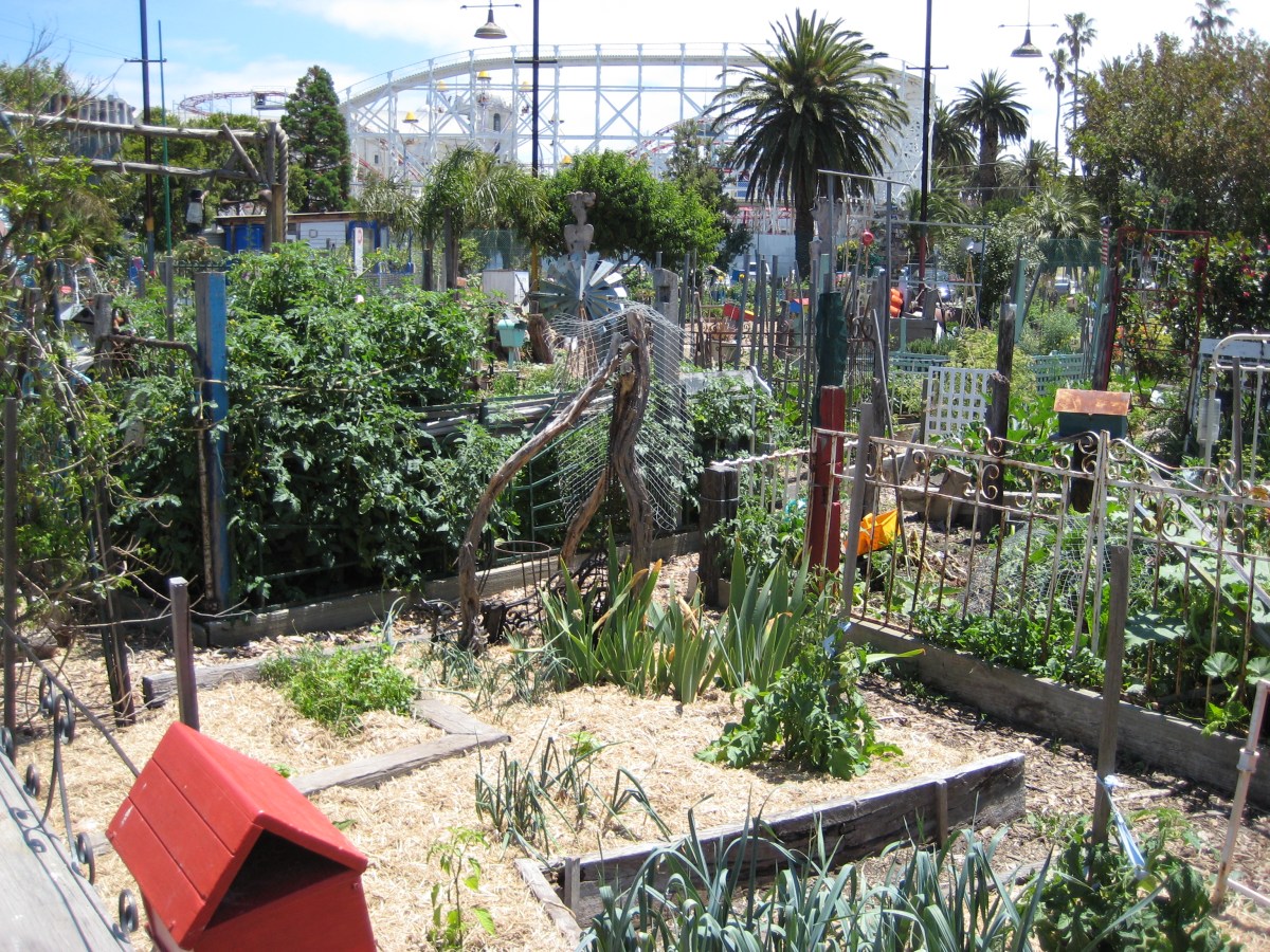 Veg Out - looking out towards Luna Park...